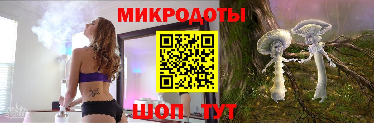 Псилоцибиновые грибы Psilocybe  Вход с VPN  Вичуга 
